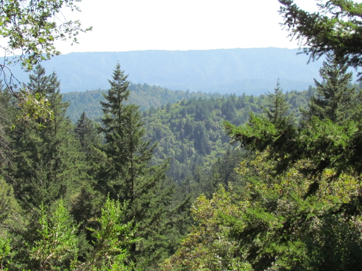 Santa Cruz Mountains